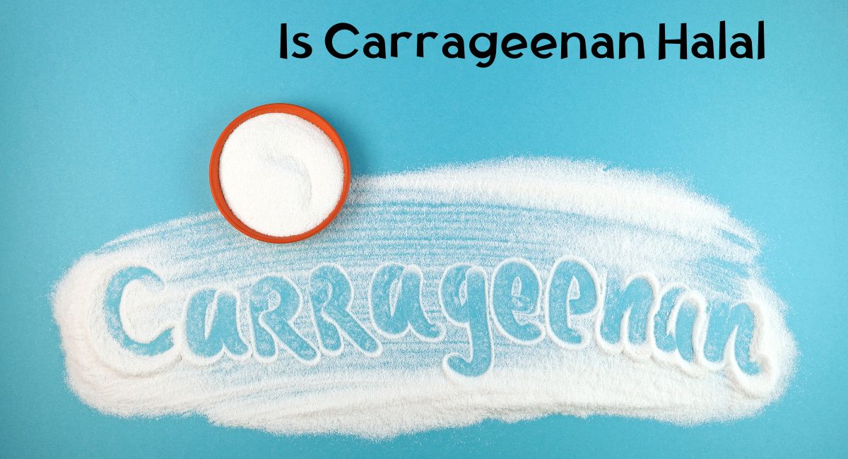 Is Carrageenan Halal Is Carrageenan Halal
