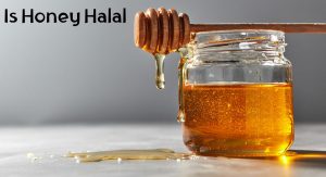 Is Honey Halal Is Honey Halal
