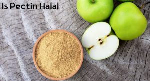 Is Pectin Halal