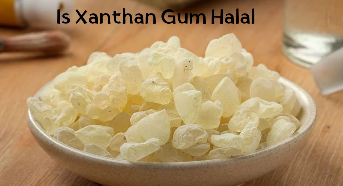 Is Xanthan Gum Halal Is Xanthan Gum Halal