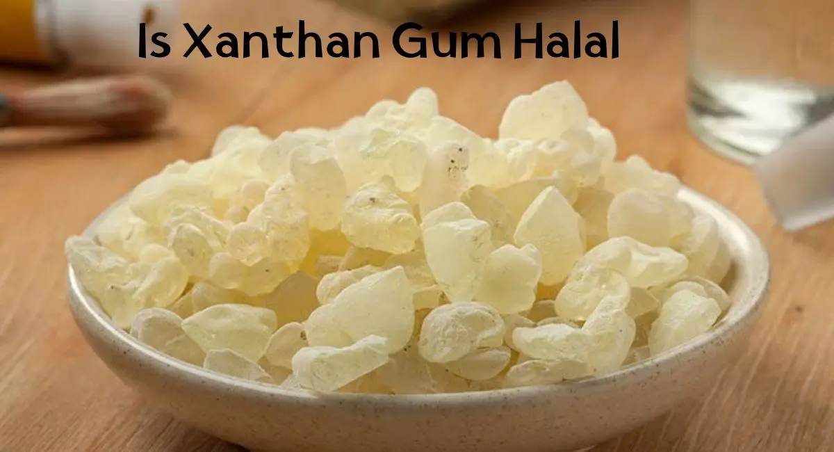 Is Xanthan Gum Halal
