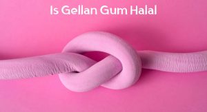 Is Gellan Gum Halal Is Gellan Gum Halal