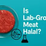 ab-grown meat halal